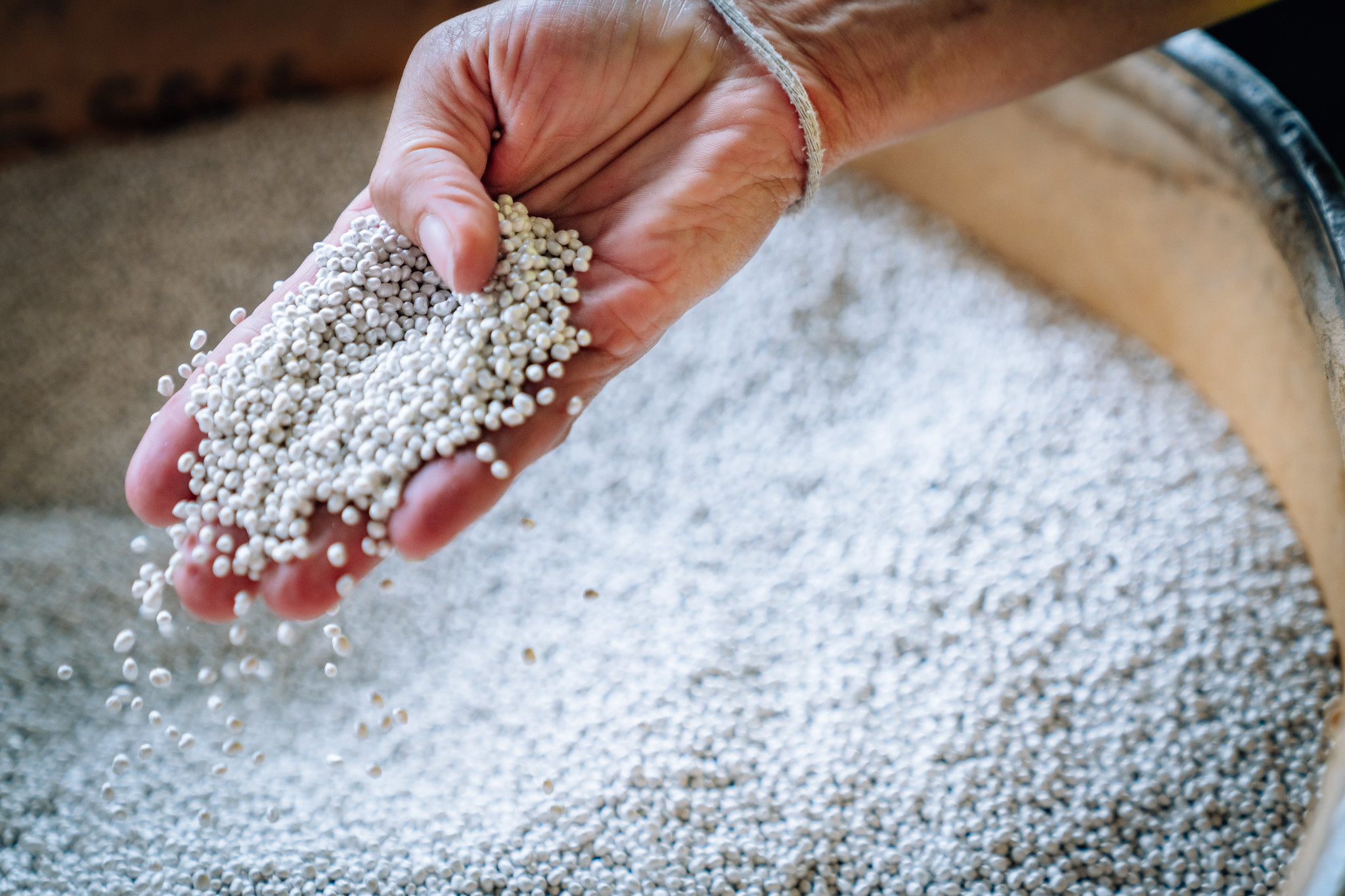 granules