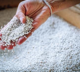 granules