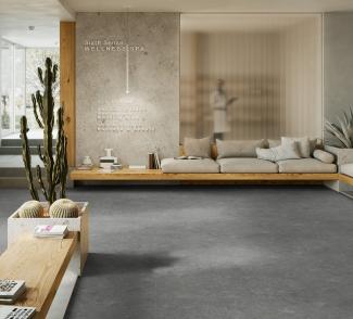 dock_grey_cr70_clic2