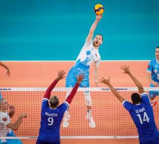 taraflex banner image