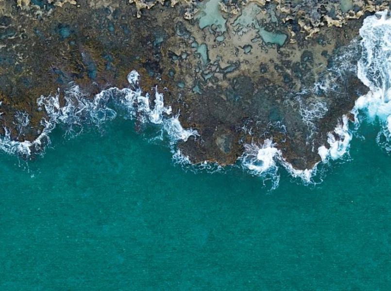 gerflor-header-linoleum-by-gerflor