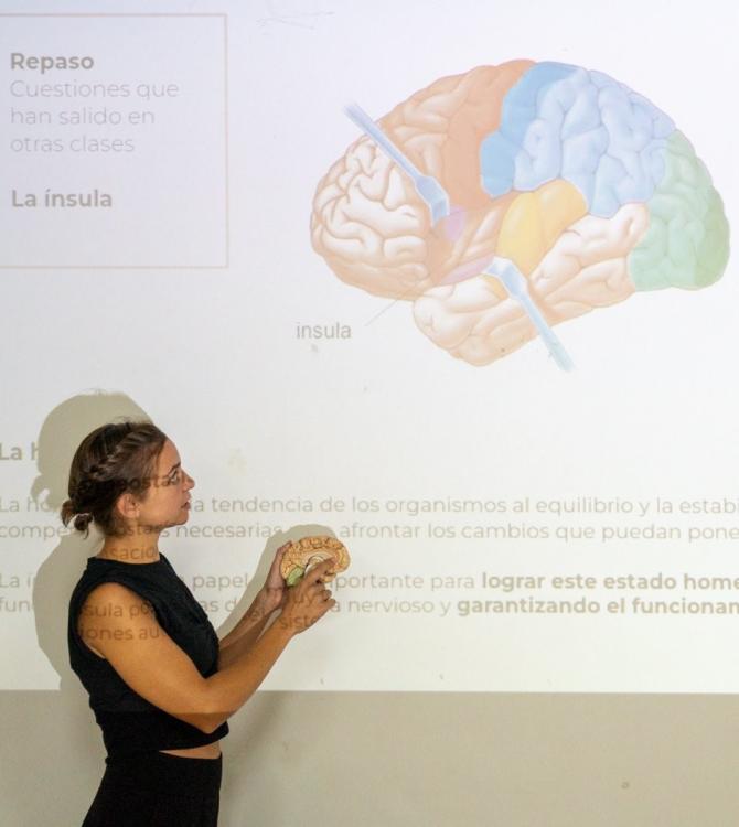 Ana Mombiedro en clase explicando el papel de la ínsula en el proceso de percepción. Fotografía por Javier de Timoteo.