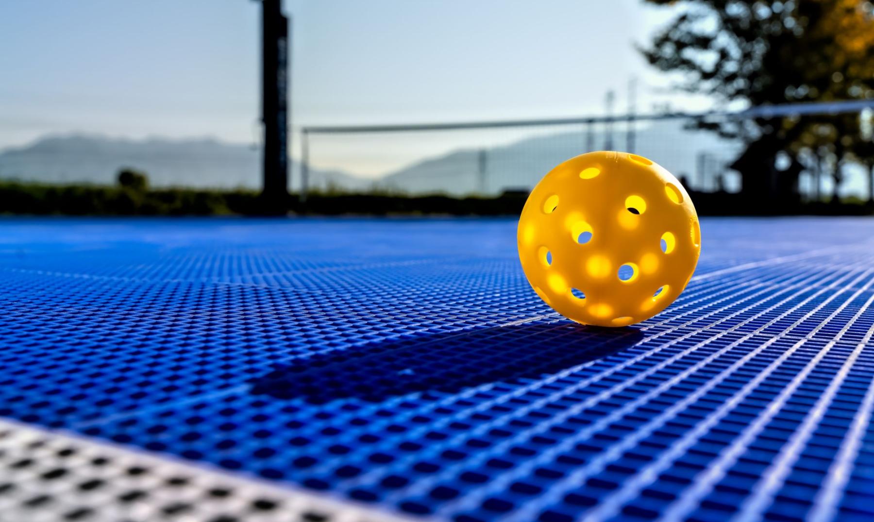 pickleball offer