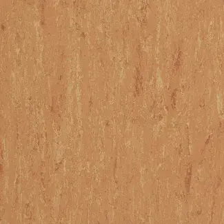 Peach Orange - scanmobile