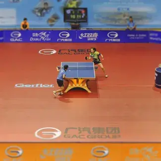 PDT-Taraflex-Table-Tennis