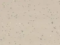 Taralay Premium -Indiana-4343-Tokelau