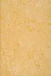 PALE YELLOW - COLOUR SCAN