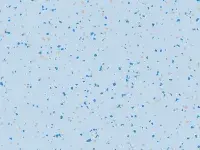 PREMIUM - 4047 INDIANA Okuza