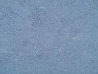 DUSTY BLUE - COLOUR SCAN